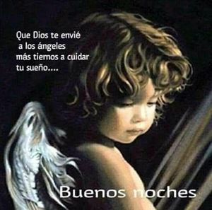 Meet your Posher, Nelly sofia